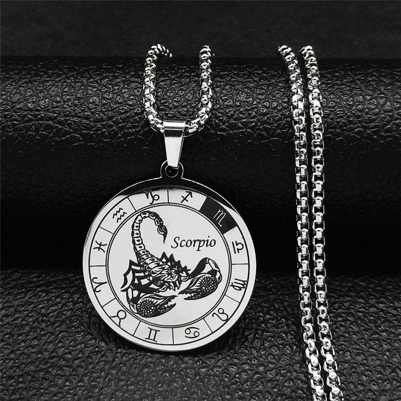 12 Constellation Stainless Steel Chain Necklace Women/Men Silver Necklace Jewelry