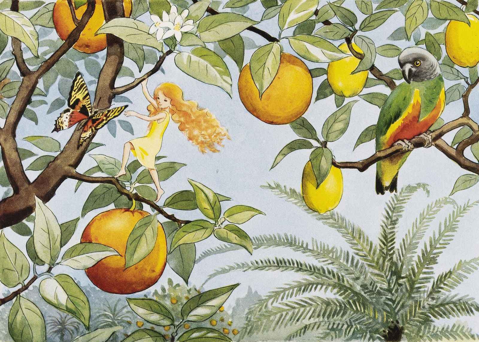 Poster - Fairy and Fruits