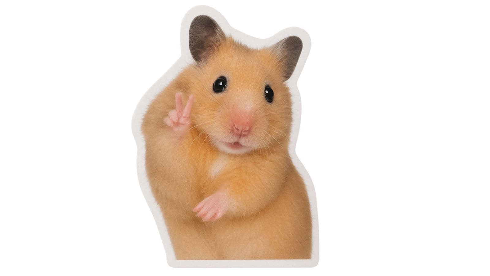 Sticker - Waving Hamster - 4 Stickers